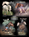 T_05-AQHA2.jpg